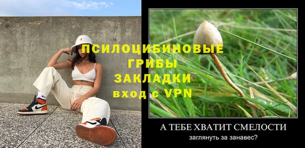 спайс Верея