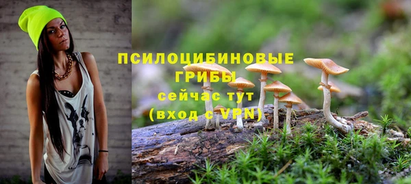2c-b Верхнеуральск